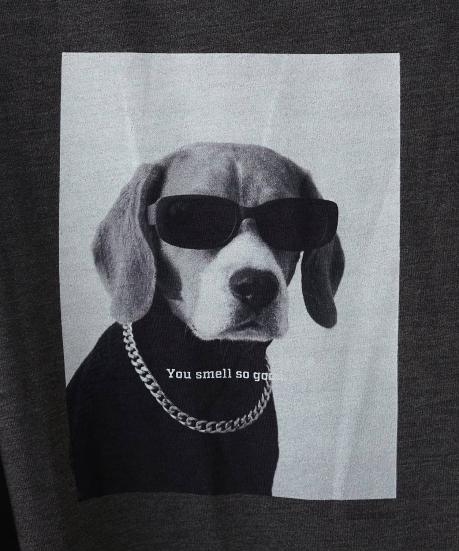 LARUTA(ラルータ) アニマルフォトTee