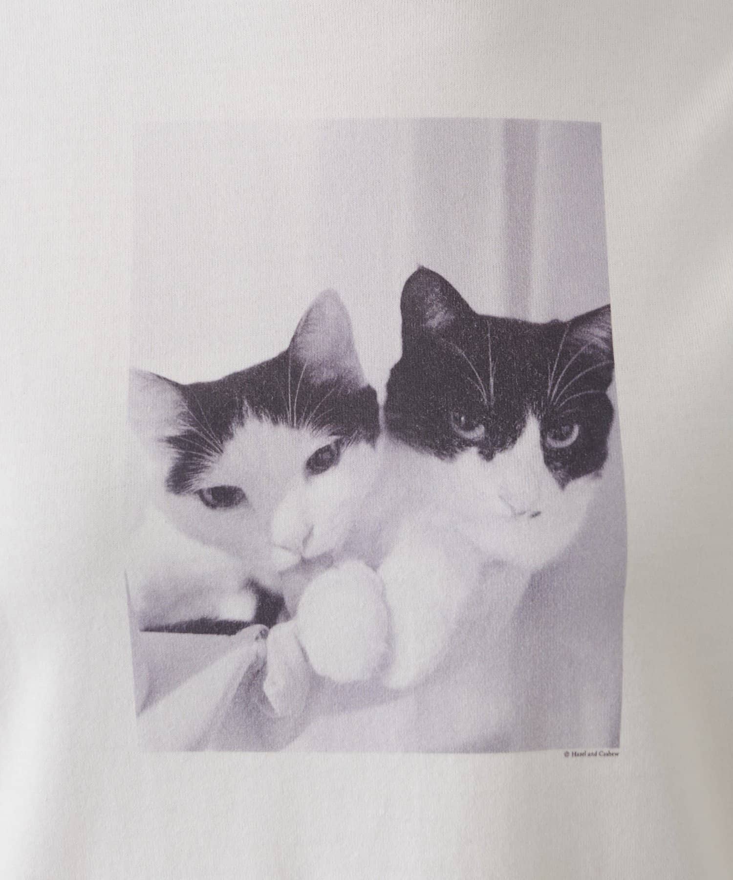 Whim Gazette(ウィム ガゼット) 【Drawing Numbers】キャットTシャツ