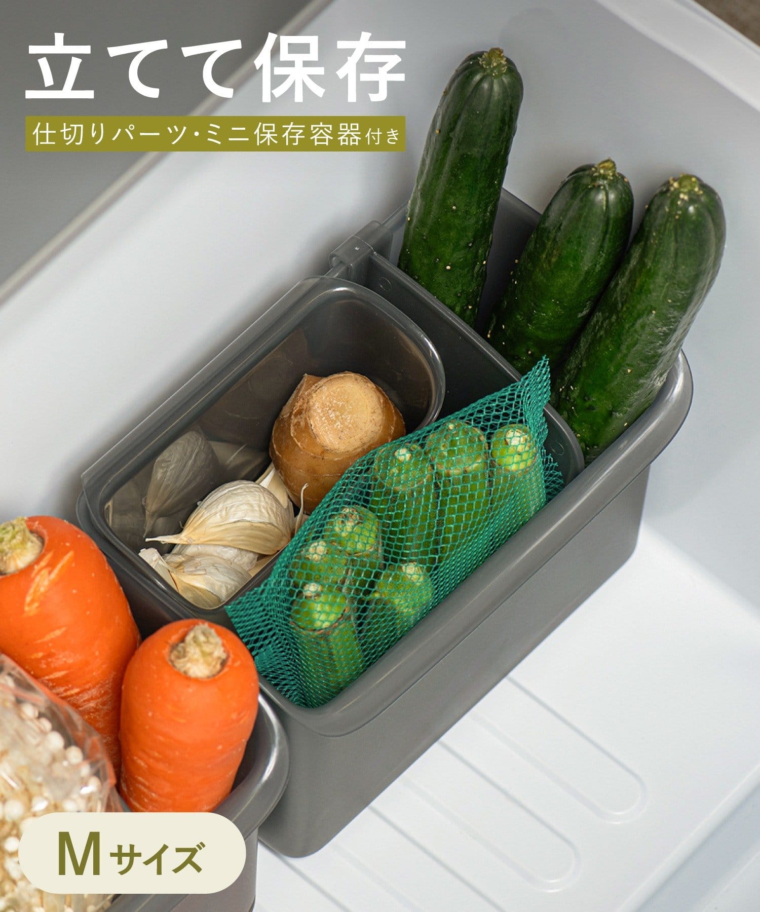 3COINS(スリーコインズ) 立てる野菜保存容器セット：M／KITINTO