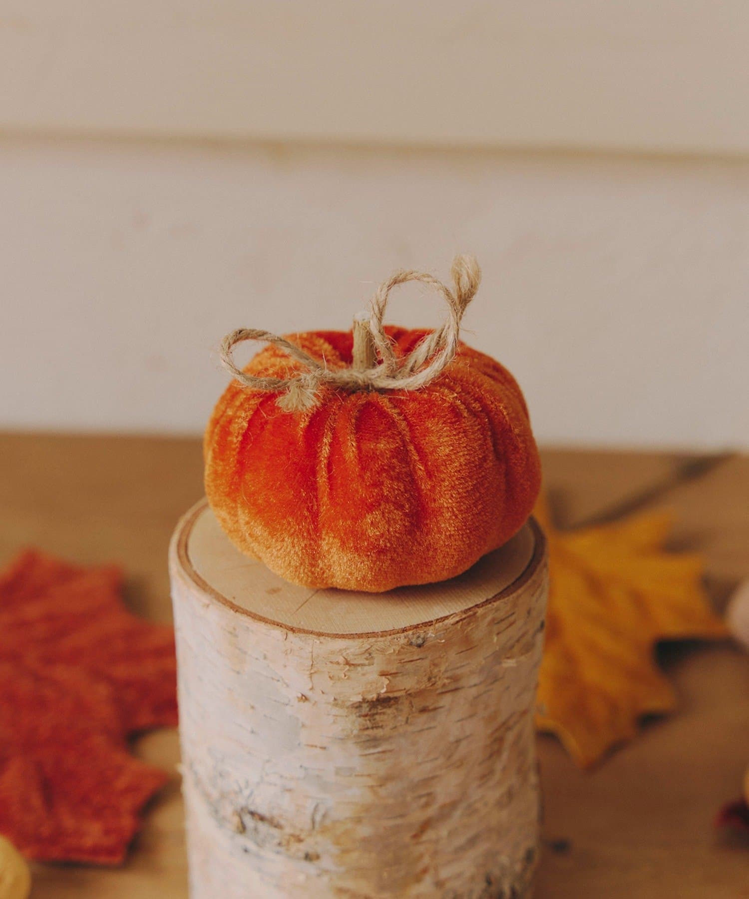 salut!(サリュ) ベロアかぼちゃオブシェ：S／Autumn Harvest Festival