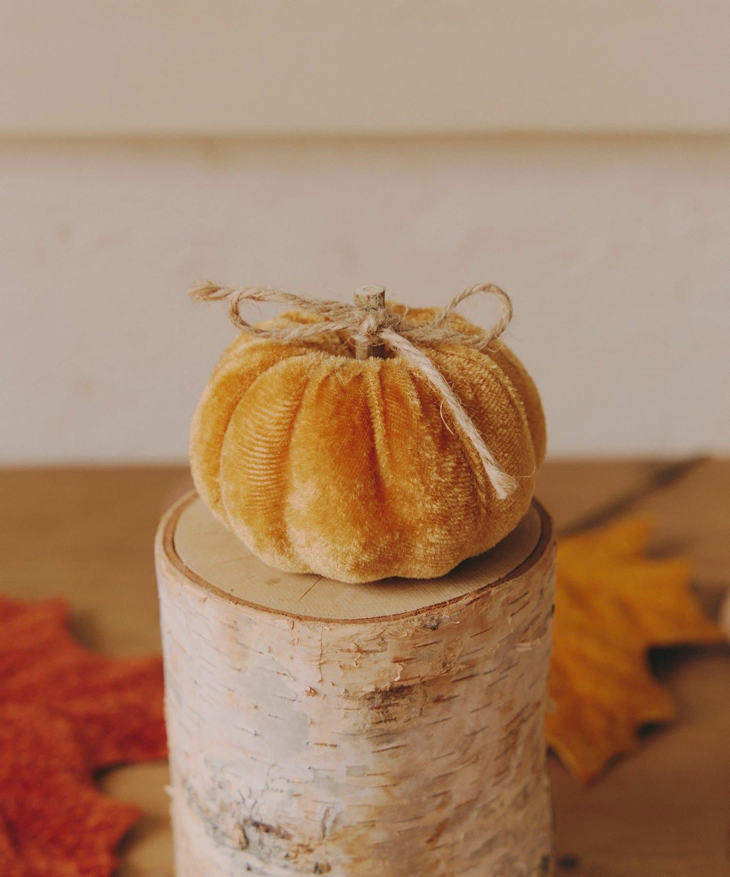 salut!(サリュ) ベロアかぼちゃオブシェ：S／Autumn Harvest Festival
