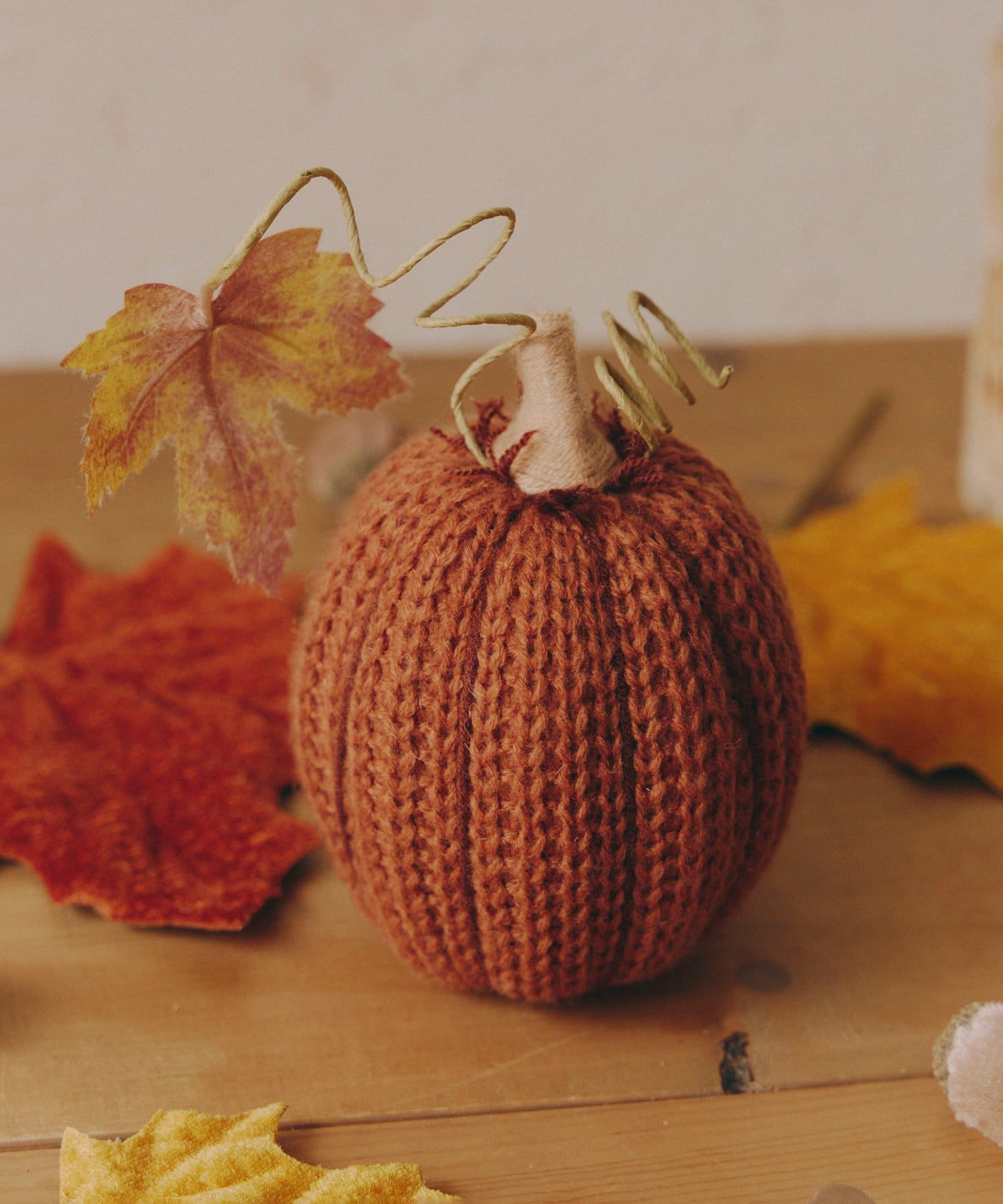 salut!(サリュ) リブ編みニットかぼちゃ／Autumn Harvest Festival