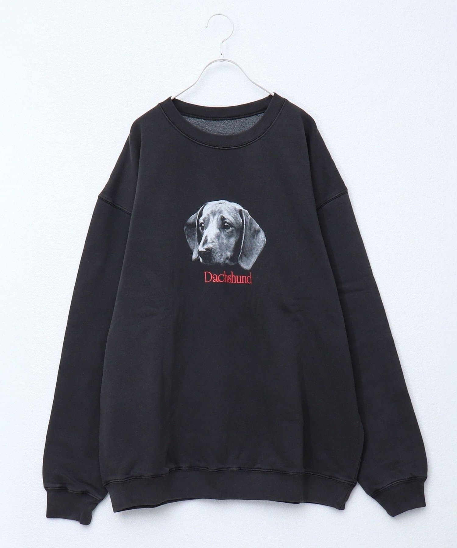 FREDY & GLOSTER(フレディ アンド グロスター) 【人気シリーズ】【DOG&CAT】犬猫ピグメントスウェット 裏起毛