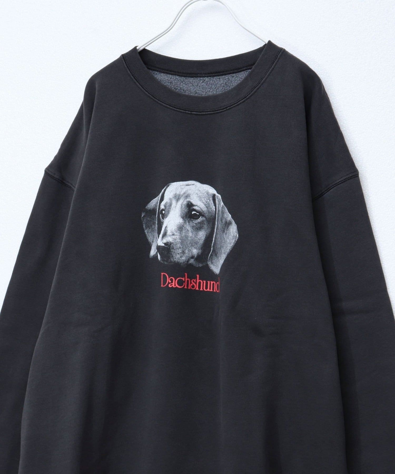 FREDY & GLOSTER(フレディ アンド グロスター) 【人気シリーズ】【DOG&CAT】犬猫ピグメントスウェット 裏起毛