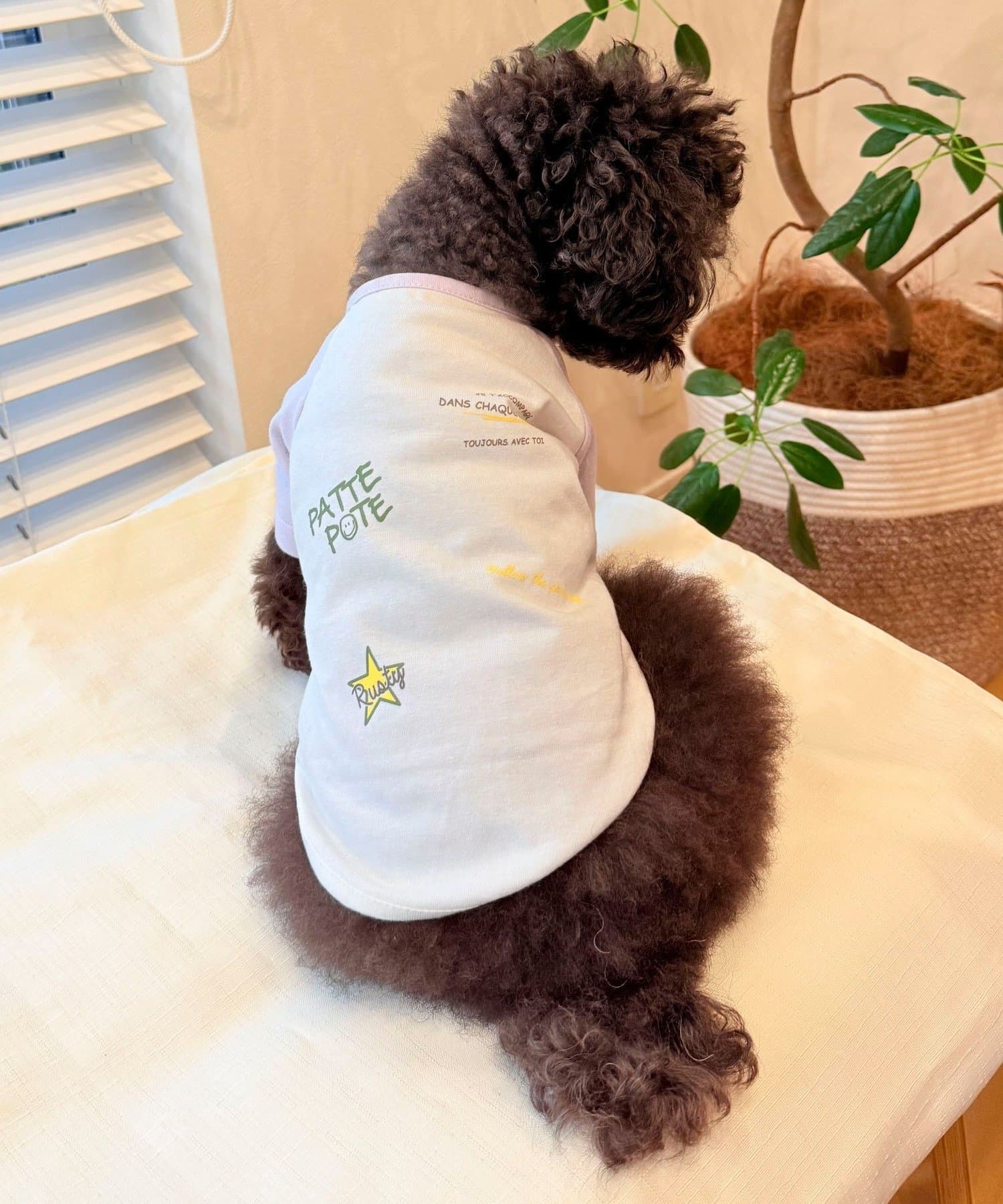 FREDY & GLOSTER(フレディ アンド グロスター) 【FR PETS】メッセージ配色Ｔシャツ
