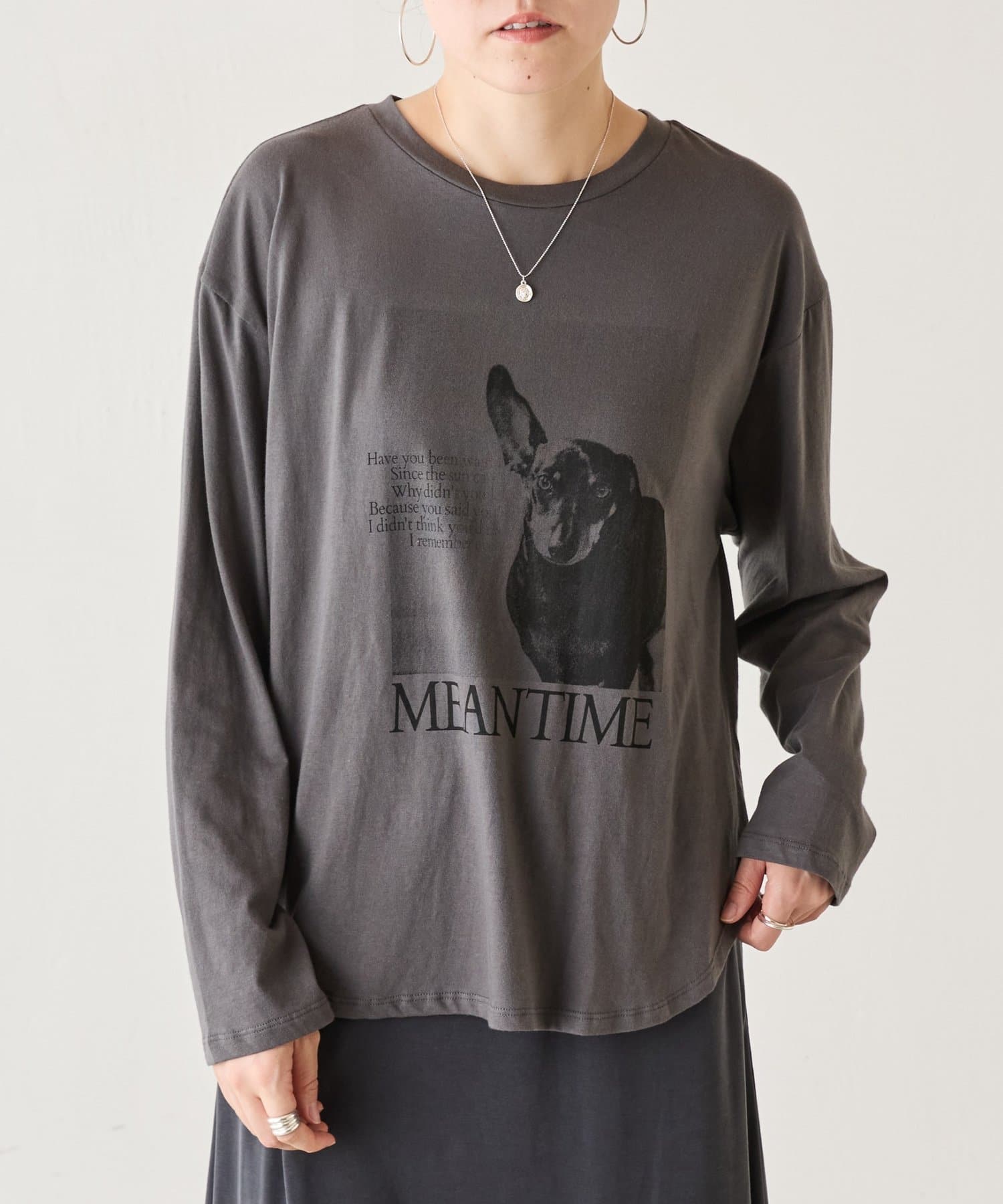 BEARDSLEY(ビアズリー) ドッグプリントロンTee《FRIPIER》