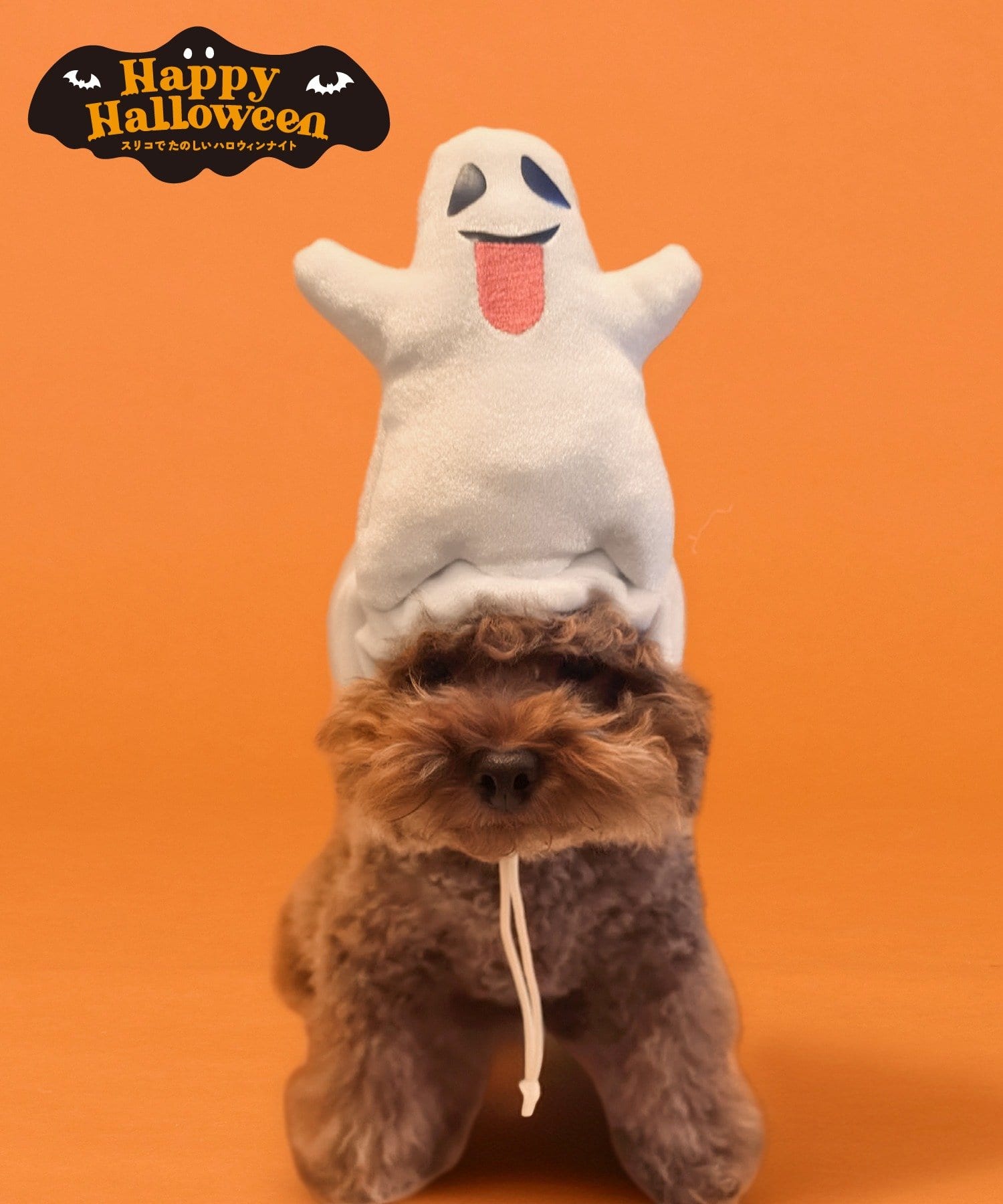 3COINS(スリーコインズ) ペット用おばけかぶりもの／Happy Halloween