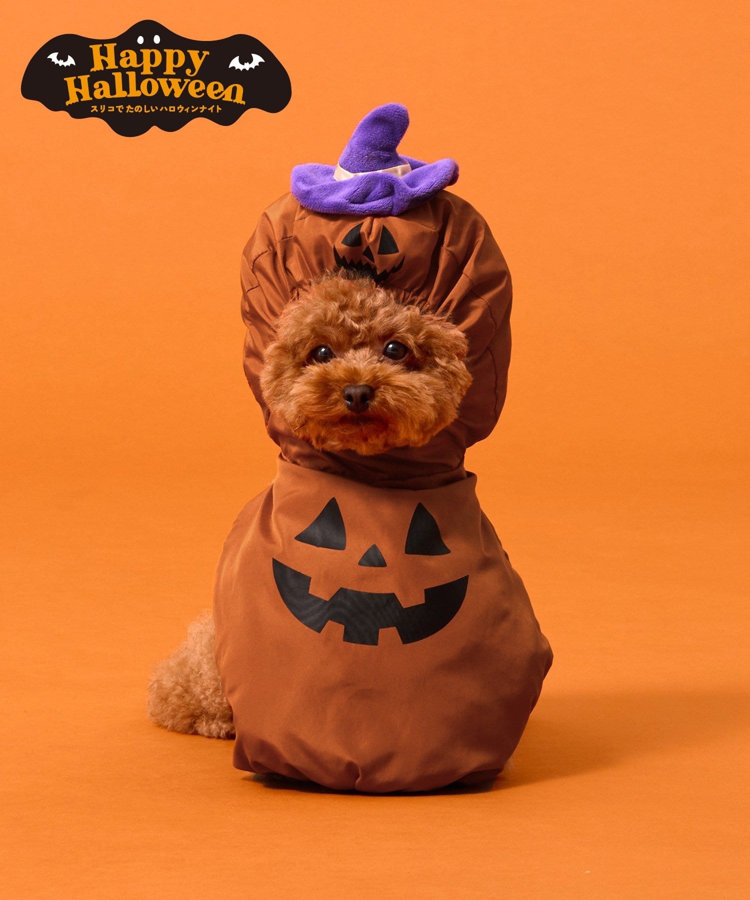 3COINS(スリーコインズ) ペット用パンプキンコス／Happy Halloween