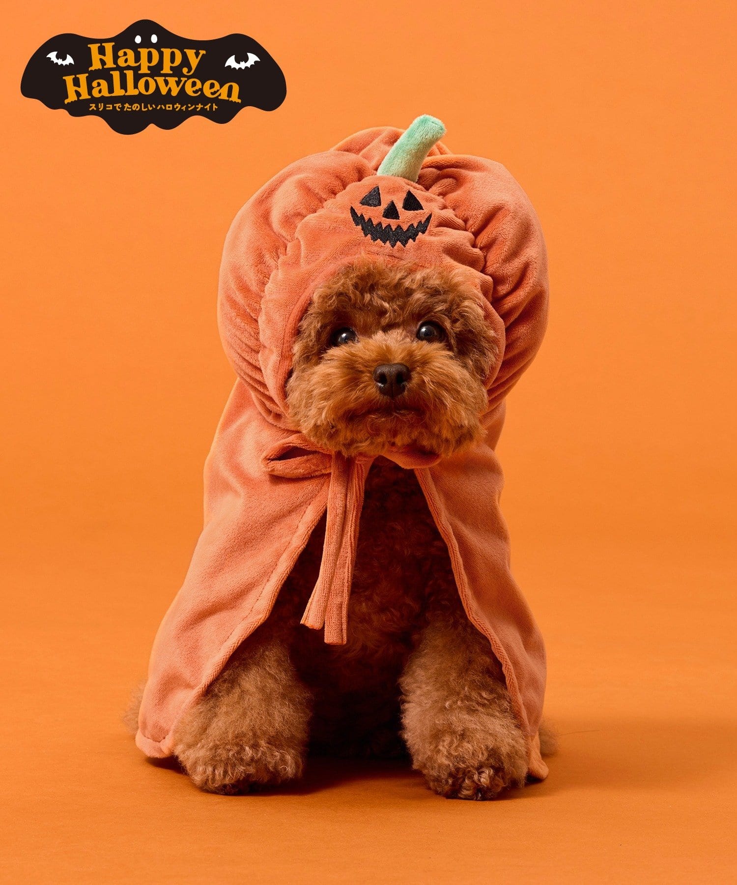 3COINS(スリーコインズ) ペット用パンプキンケープ／Happy Halloween