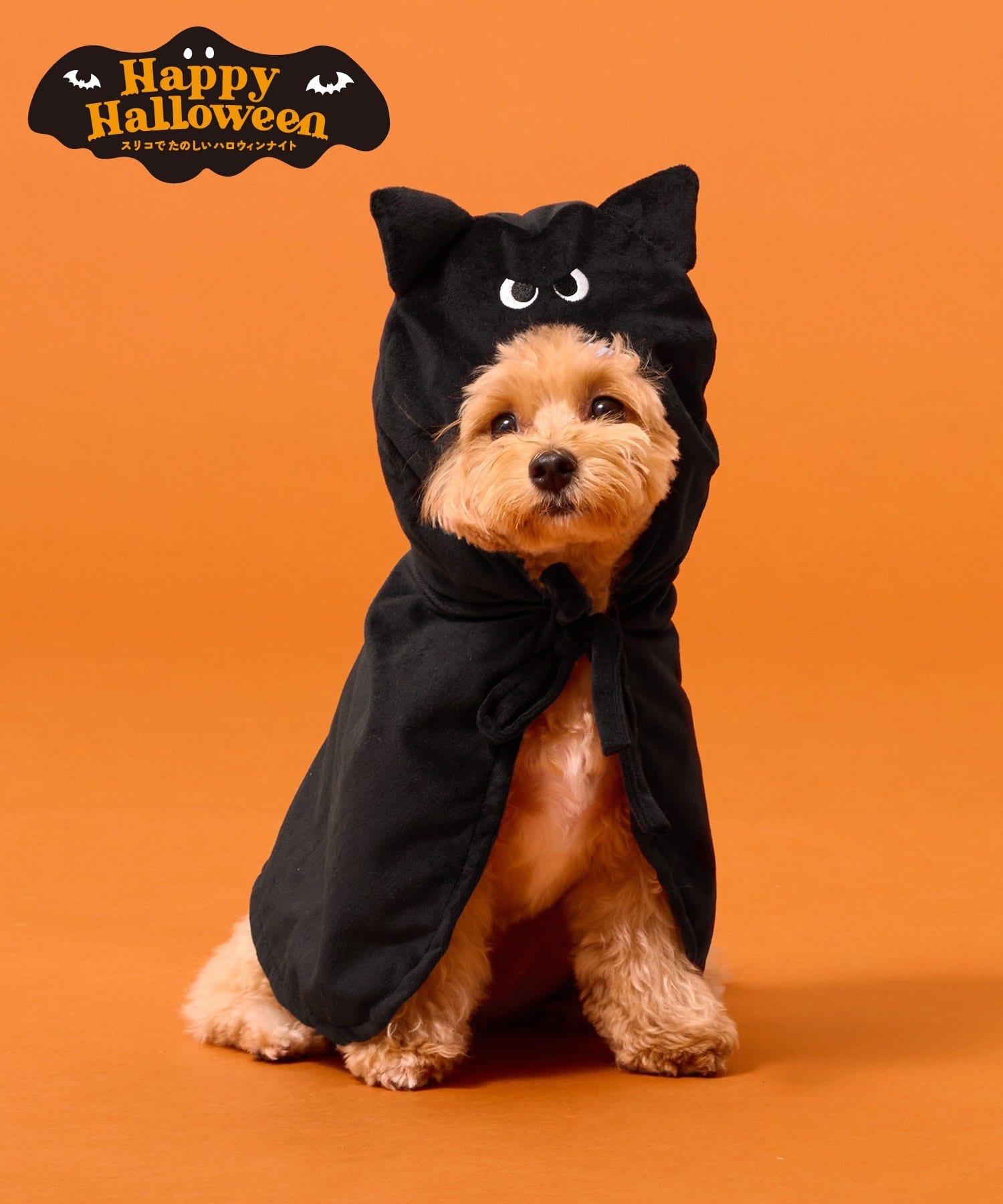 3COINS(スリーコインズ) ペット用コウモリケープ／Happy Halloween
