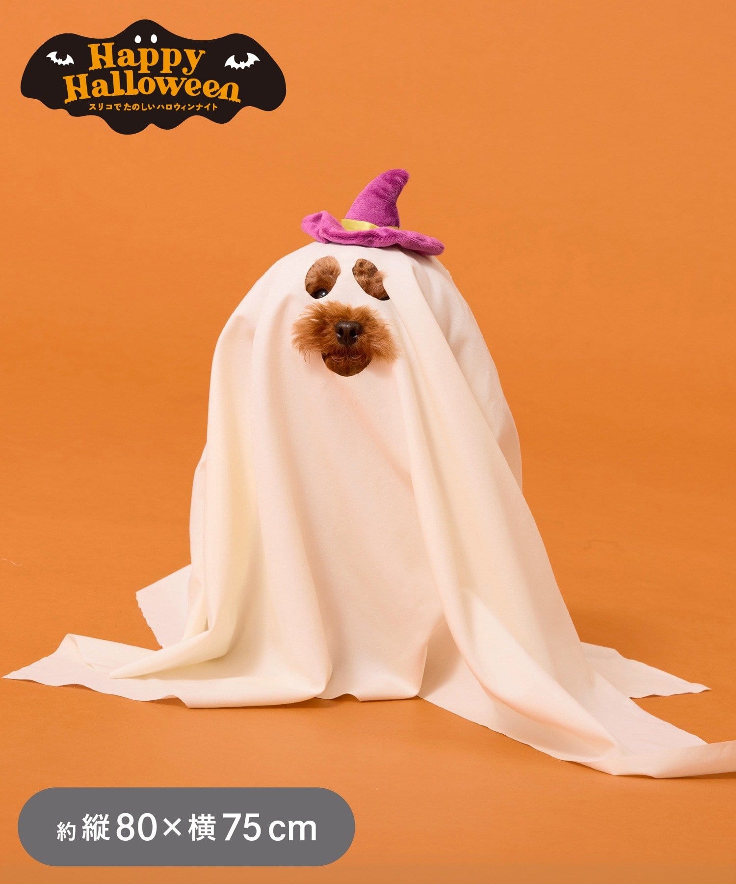 3COINS(スリーコインズ) ペット用ハットおばけ布S：80×75cm／Happy Halloween