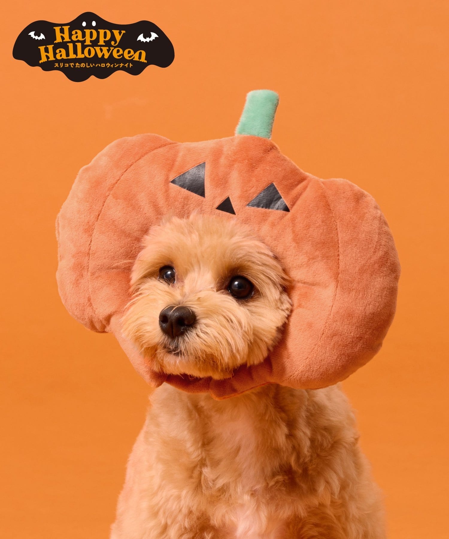 3COINS(スリーコインズ) ペット用パンプキン顔ハメ／Happy Halloween