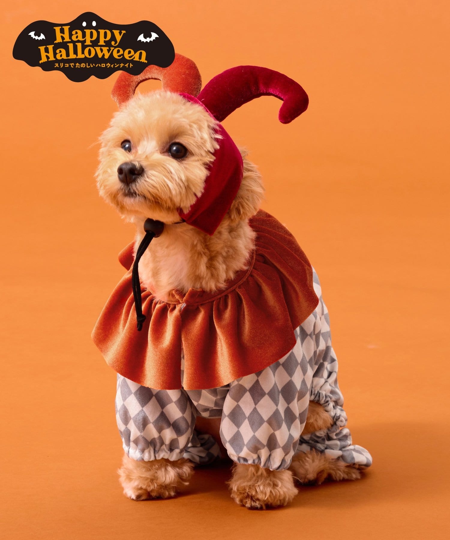 3COINS(スリーコインズ) ペット用ピエロセット／Happy Halloween