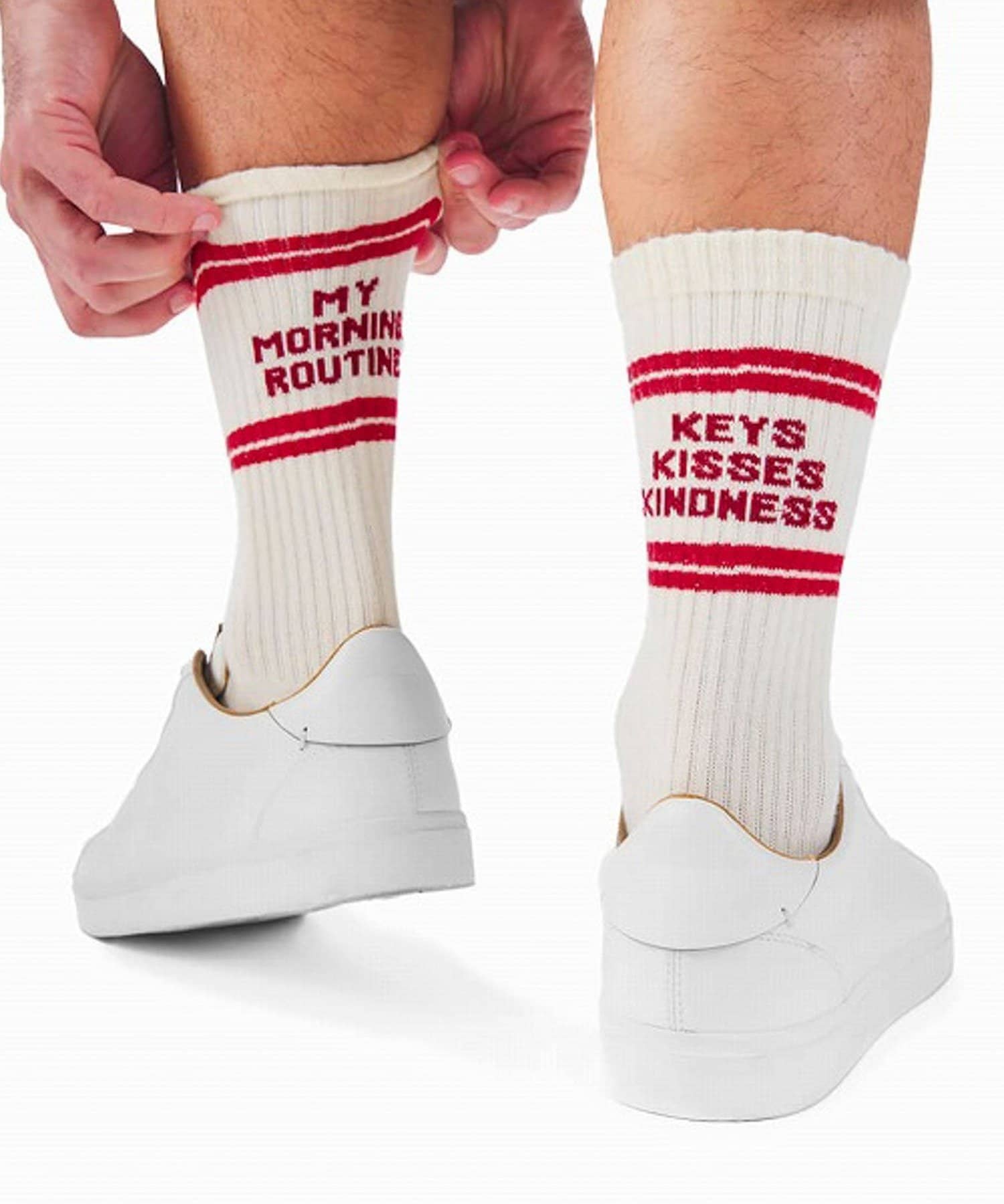 FREDY & GLOSTER(フレディ アンド グロスター) 【MANY MORNINGS/メニーモーニングス】ラインソックス