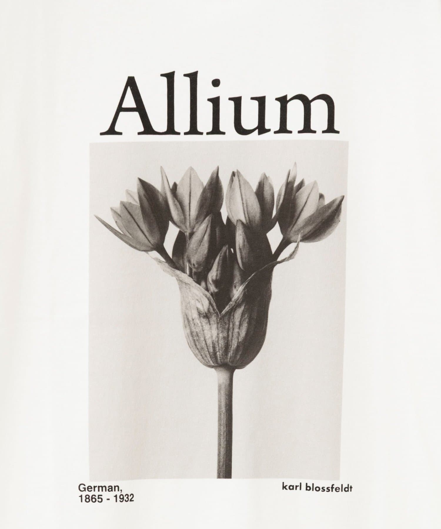 NOLLEY'S(ノーリーズ) 【WEB＆一部店舗限】【karl blossfeldt】プラントフォトＴシャツ