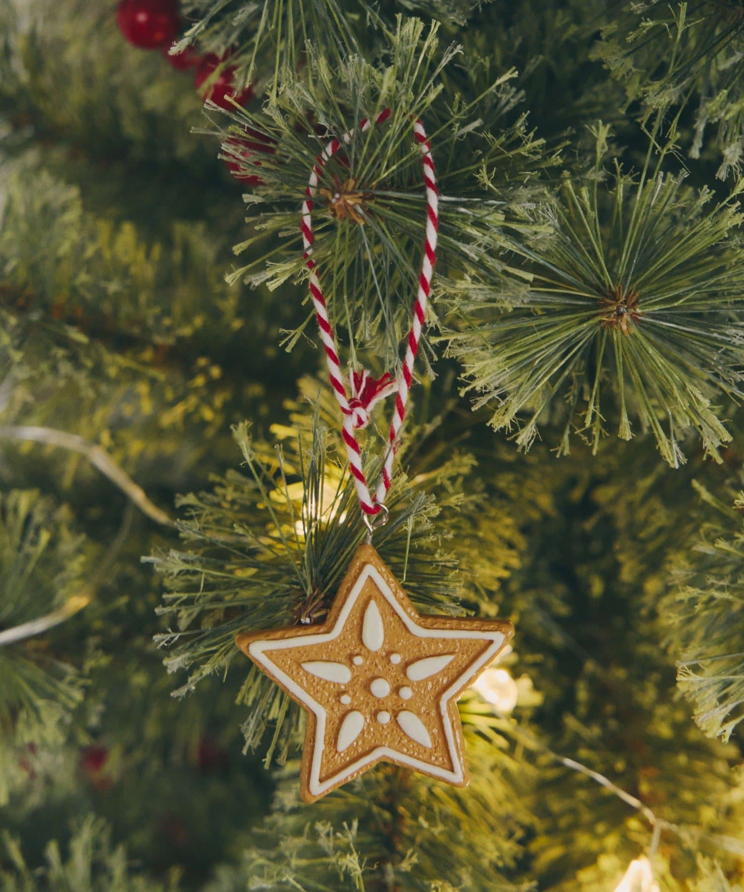 salut!(サリュ) クッキースターオーナメント／Christmas
