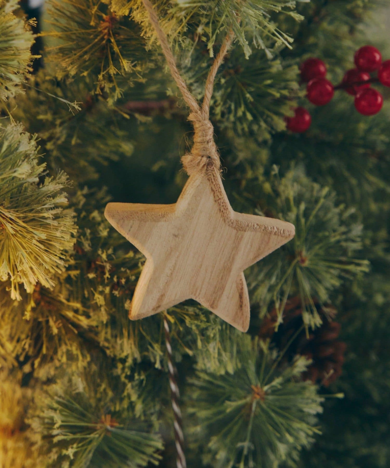 salut!(サリュ) ウッドスターオーナメント／Natural Christmas