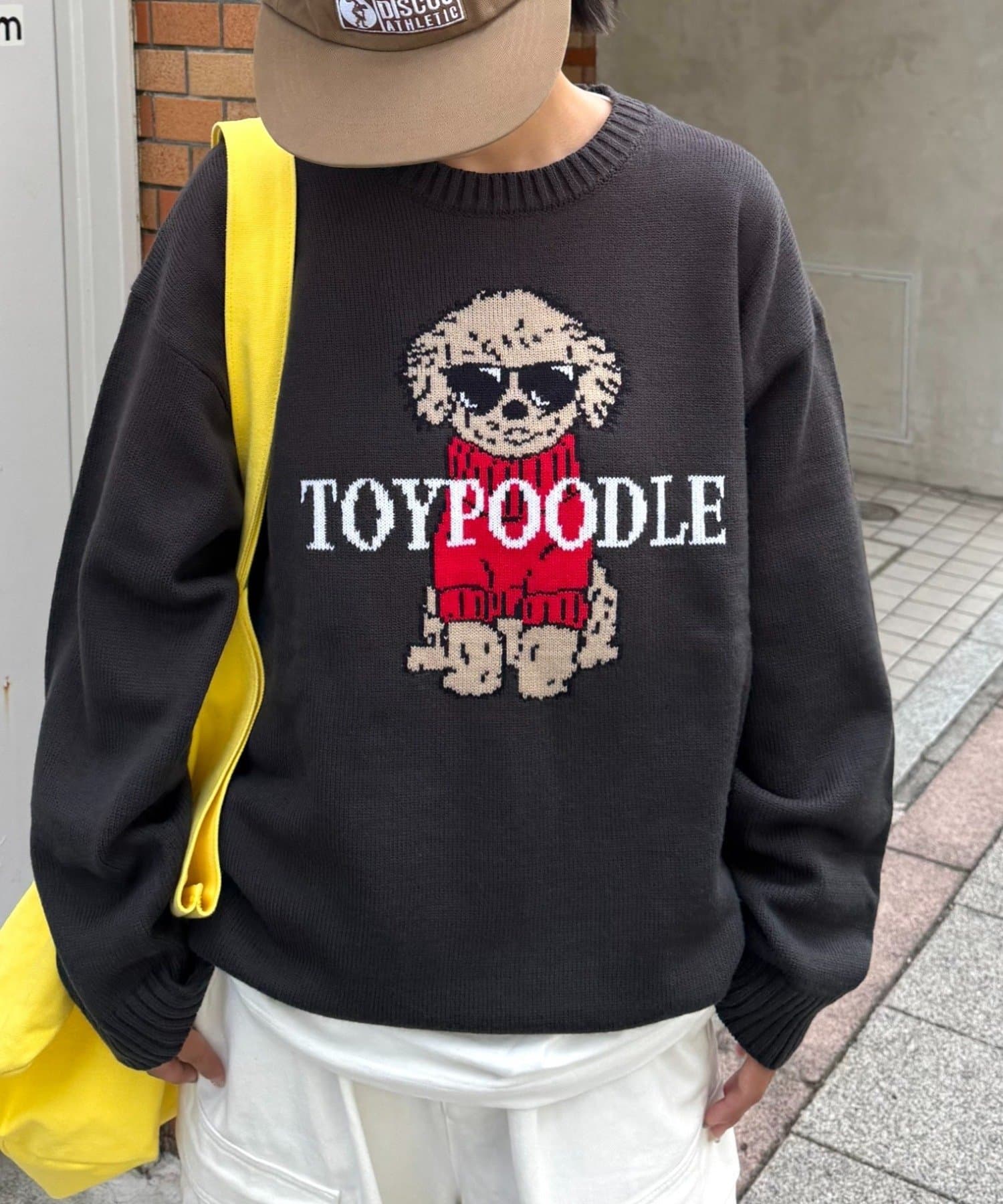 CIAOPANIC TYPY(チャオパニックティピー) 犬 ニット アソートロゴジャガードニット